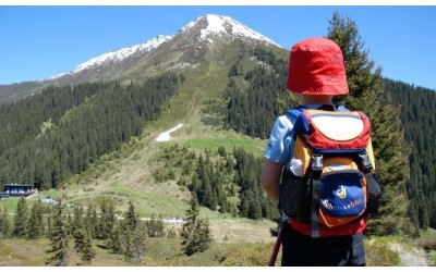 Excursii şcolare de 1 zi